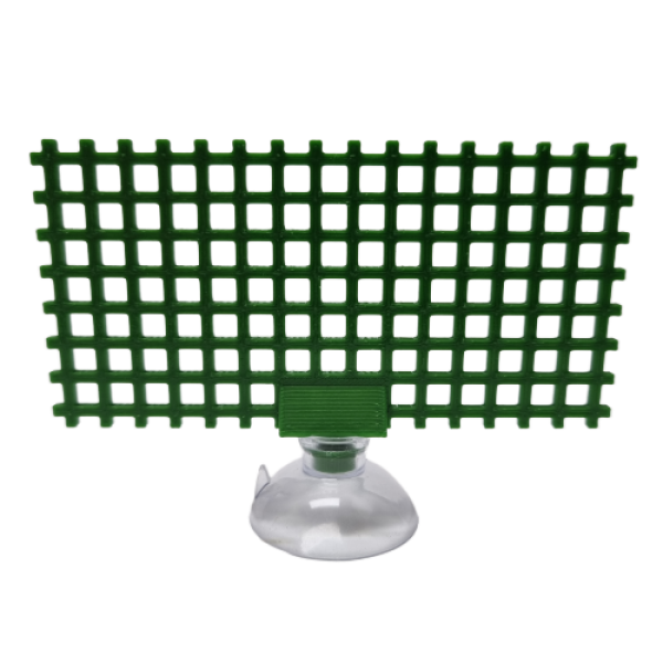 Moosgitter, Moos, Aquascaping, Spiky Moos, Creeping, Javafarn, Java Moos, Bucephelandra, Moosgitter, Gitter, Netz, Moosnetz